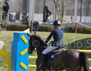 Offel Pour Le Poussage TosTour2013- S5 2397 : Arezzo, Arezzo Equestrian Centre, Offel Katarina, Pour le Poussage, Toscana Tour 2013, foto di Stefano Secchi ©